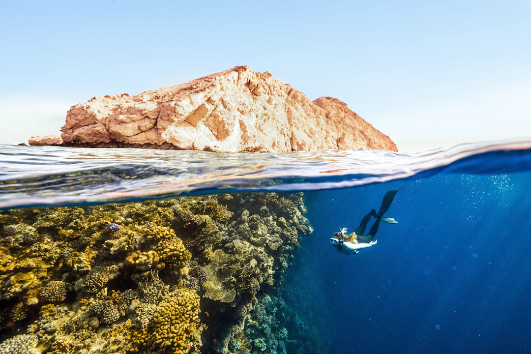 The Science Behind Perfecting Your Swimming Technique